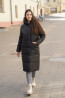 ������ TwinTip ������ 43809